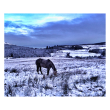 Load image into Gallery viewer, Horse Grazing in a Snowy Pasture Christmas Landscape Card
